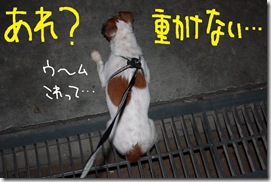 今日カズ０９０７０５　８