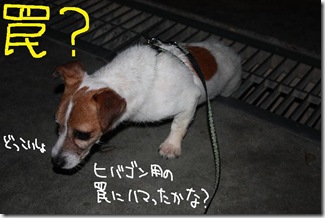 今日カズ０９０７０５　９