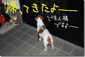 今日カズ０９０７０５　１１