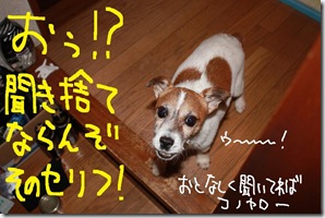今日カズ０９０７０７　２