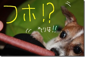 今日カズ０９０７０７　４