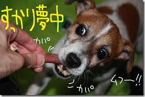 今日カズ０９０７０７　５