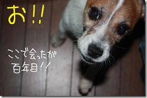 今日カズ０９０７０８　１