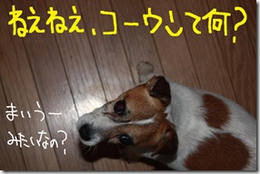 今日カズ０９０７０９　１