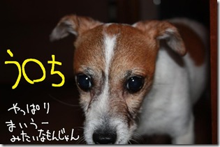 今日カズ０９０７０９　４