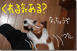 今日カズ０９０７１０　５