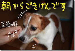 今日カズ０９０７１０　７