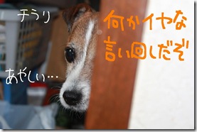 今日カズ０９０７１０　８