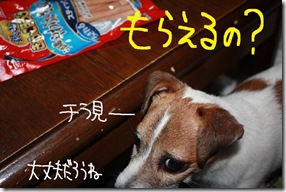 今日カズ０９０７１４　２