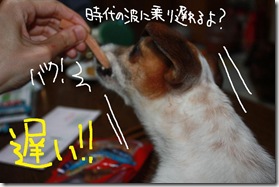 今日カズ０９０７１４　７