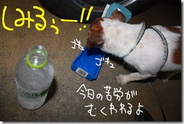 今日カズ０９０７１６　１８