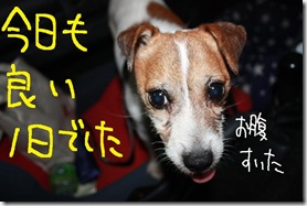 今日カズ０９０７１６　１９
