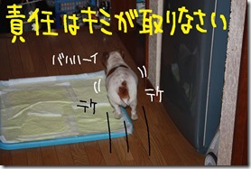 今日カズ０９０７１７　２