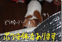 今日カズ０９０７１８　２