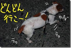 今日カズ０９０７１９　６