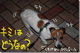 今日カズ０９０７１９　７