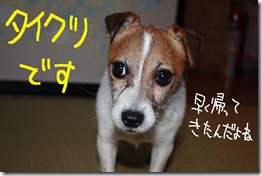 今日カズ０９０７２０　１