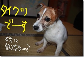 今日カズ０９０７２０　２