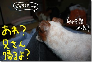 今日カズ０９０７２３　４