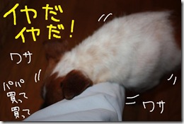 今日カズ０９０７２４　７