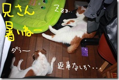 今日カズ０９０７２５　８