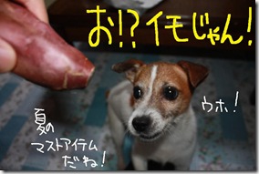 今日カズ０９０７２６　２