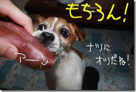 今日カズ０９０７２６　３