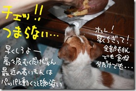 今日カズ０９０７２６　６