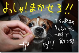 今日カズ０９０７２６　７