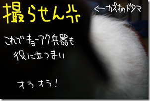 今日カズ０９０７２７　６
