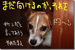 今日カズ０９０７２７　８