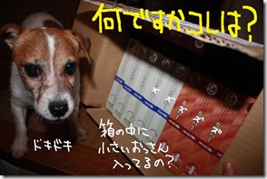 今日カズ０９０７２９　２