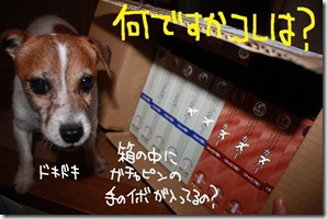 今日カズ０９０７２９　３