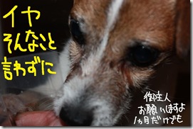 今日カズ０９０７２９　８