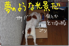 今日カズ０９０７２９　９