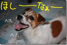今日カズ０９０７３０　６