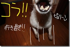 今日カズ０９０８０１　２