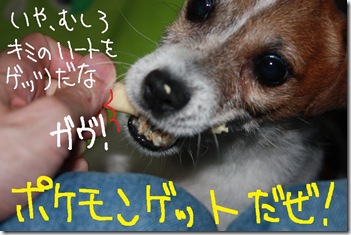 今日カズ０９０８０１　１０