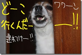 今日カズ０９０８０２　２