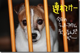 今日カズ０９０８０２　４