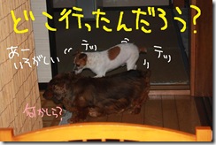 今日カズ０９０８０２　６