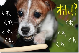 今日カズ０９０８０２　８