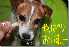 今日カズ０９０８０２　９
