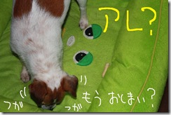 今日カズ０９０８０２　１０
