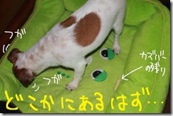 今日カズ０９０８０２　１１