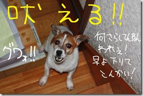 今日カズ０９０８０３　１