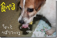 今日カズ０９０８０３　３