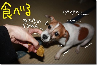 今日カズ０９０８０３　７