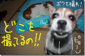 今日カズ０９０８０４　１