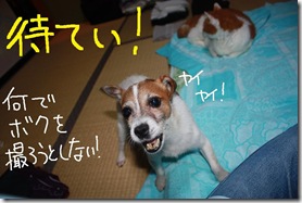 今日カズ０９０８０４　２
